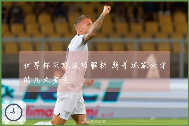 世界杯买球技巧解析 新手玩家必学的几大要点