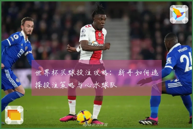 世界杯买球投注攻略：新手如何选择投注策略与心水球队