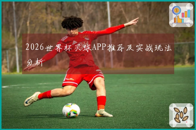 2026世界杯买球APP推荐及实战玩法分析