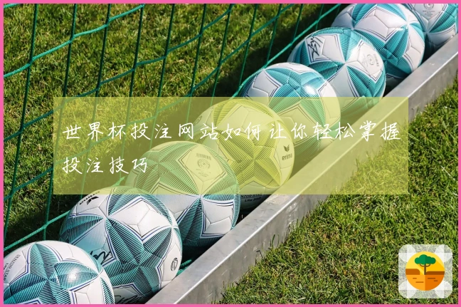 世界杯投注网站如何让你轻松掌握投注技巧