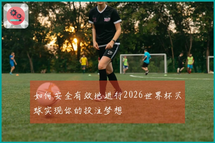 如何安全有效地进行2026世界杯买球实现你的投注梦想