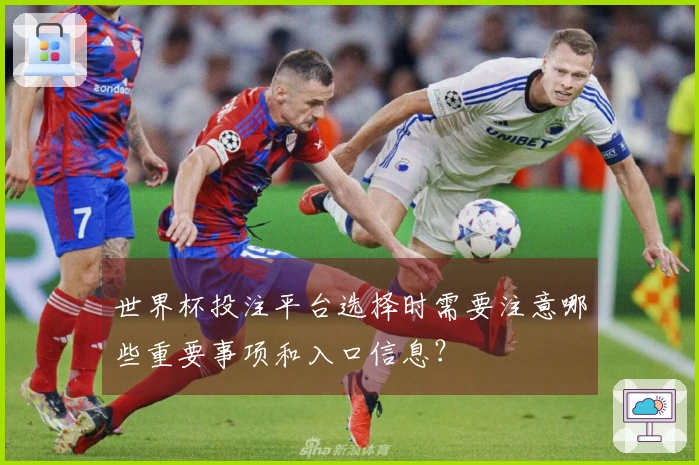 世界杯投注平台选择时需要注意哪些重要事项和入口信息？