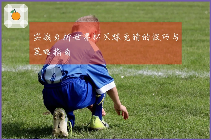 实战分析世界杯买球竞猜的技巧与策略指南