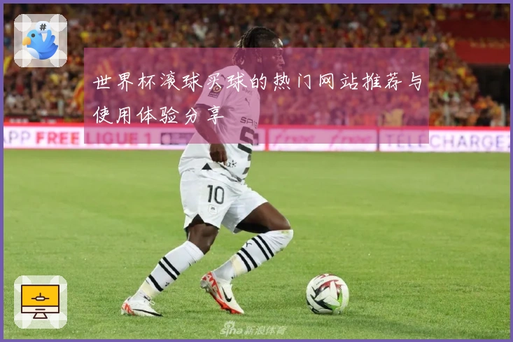 世界杯滚球买球的热门网站推荐与使用体验分享