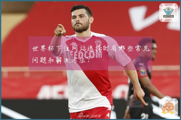 世界杯下注网站选择时有哪些常见问题和解决方法？