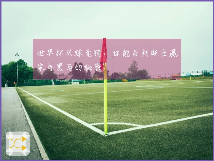 世界杯买球竞猜，你能否判断出赢家与黑马的秘密？