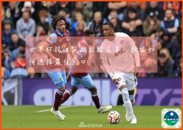 世界杯投注实战经验分享，教你如何选择最佳入口