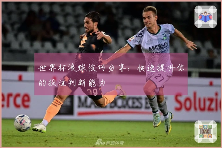 世界杯滚球技巧分享，快速提升你的投注判断能力