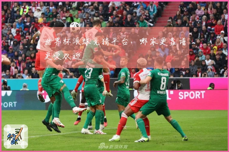 世界杯滚球竞猜平台，哪家更靠谱更受欢迎