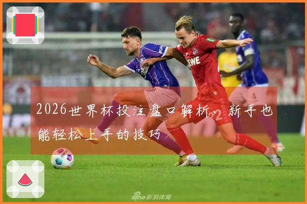 2026世界杯投注盘口解析，新手也能轻松上手的技巧