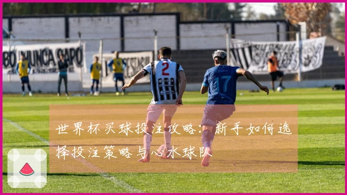 世界杯买球投注攻略：新手如何选择投注策略与心水球队