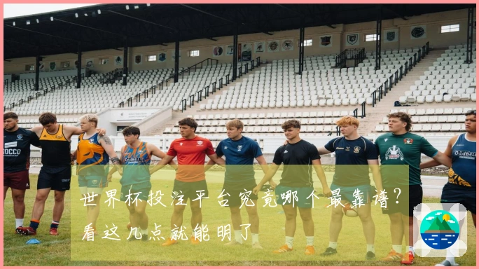 世界杯投注平台究竟哪个最靠谱？看这几点就能明了