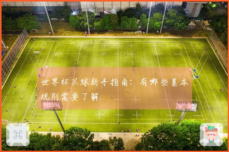 世界杯买球新手指南：有哪些基本规则需要了解