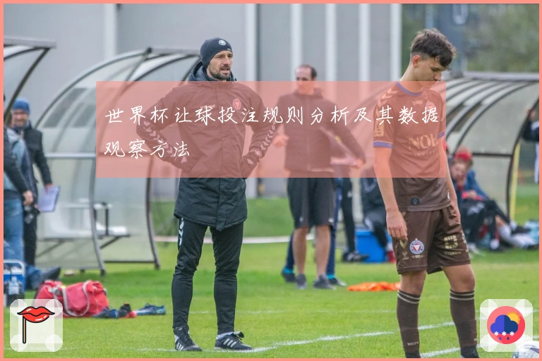世界杯让球投注规则分析及其数据观察方法