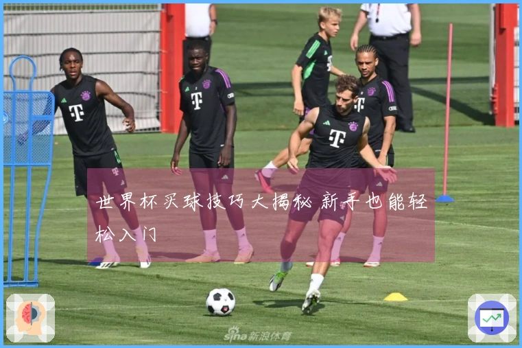 世界杯买球技巧大揭秘 新手也能轻松入门