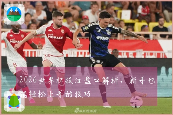 2026世界杯投注盘口解析，新手也能轻松上手的技巧