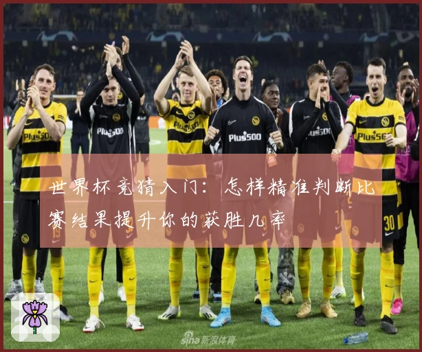 世界杯竞猜入门：怎样精准判断比赛结果提升你的获胜几率