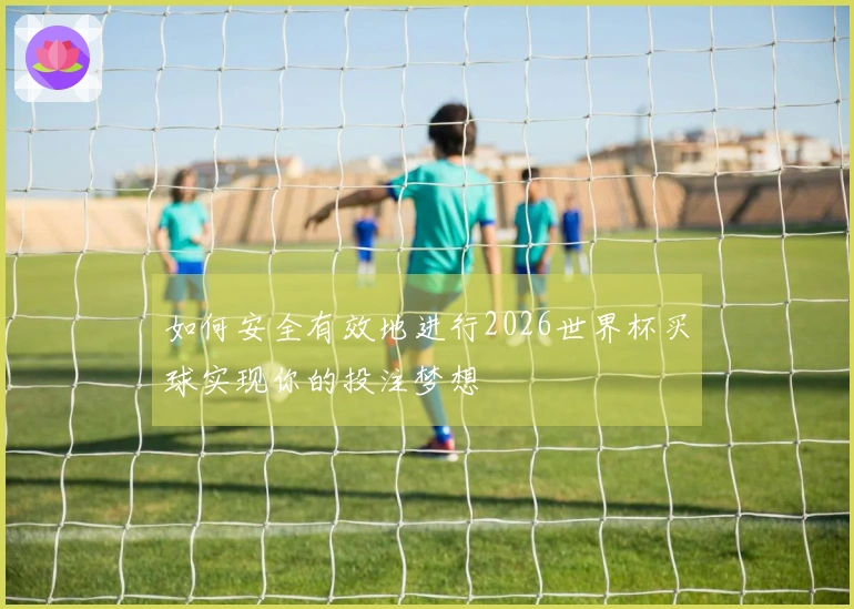 如何安全有效地进行2026世界杯买球实现你的投注梦想
