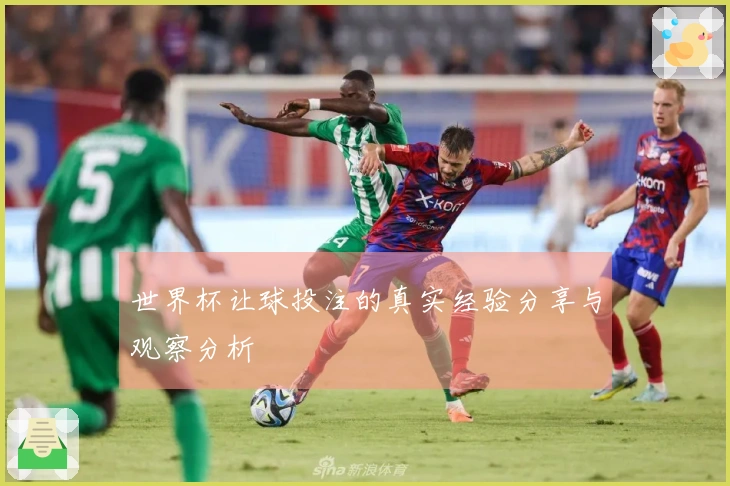 世界杯让球投注的真实经验分享与观察分析